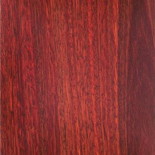 边缘柳桉树 Jarrah